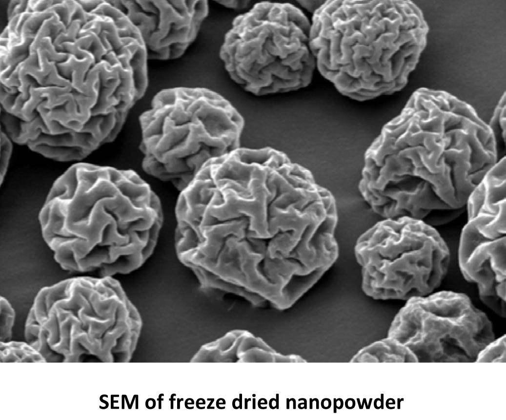 Application of freeze drying in nanotechnology